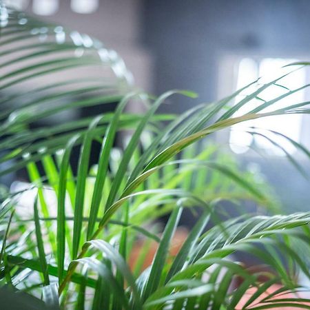 Apartament Cinematic Modern Flat, 100 Mt Da Ospedale Rawenna Zewnętrze zdjęcie